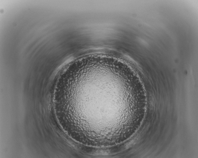 X0000073711411200608101827