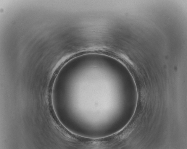 X0000073711412200608101827