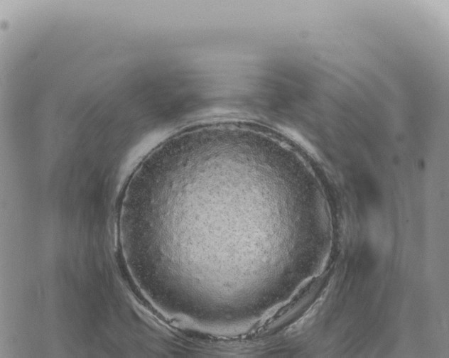 X0000073711413200608101827