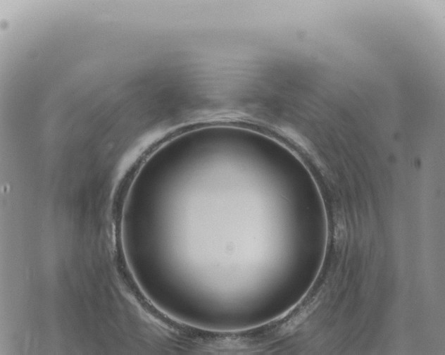 X0000073711414200608101827