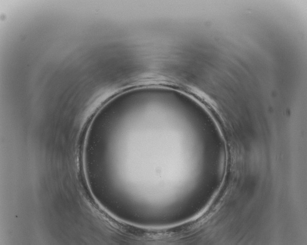 X0000073711415200608101827