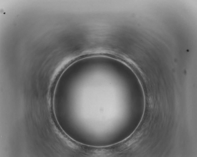 X0000073711416200608101827