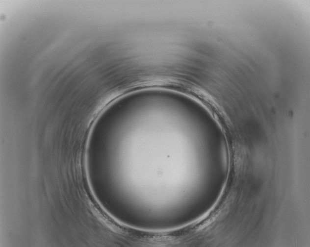 X0000073711417200608101827