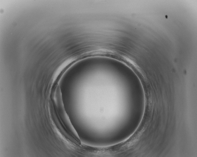 X0000073711418200608101827