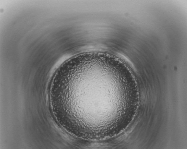 X0000073711419200608101827