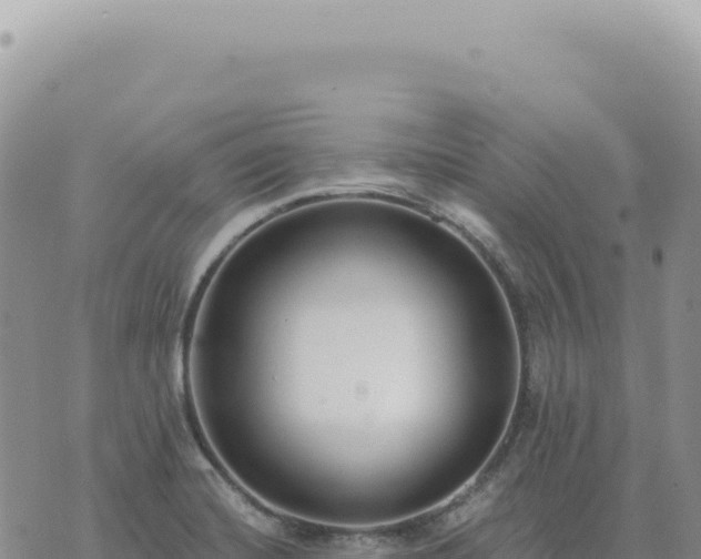 X0000073711420200608101827