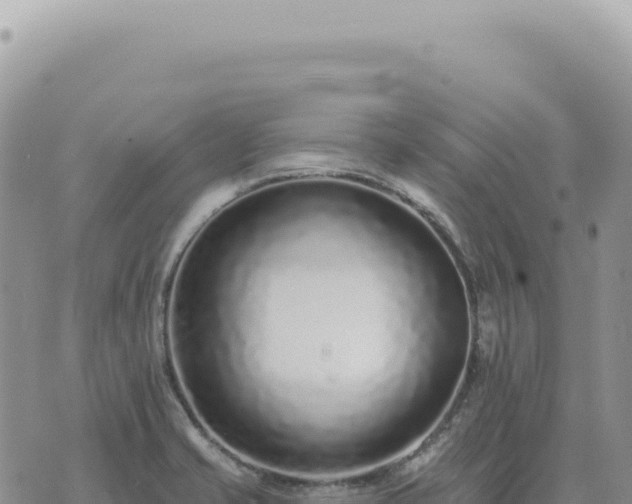 X0000073711421200608101827