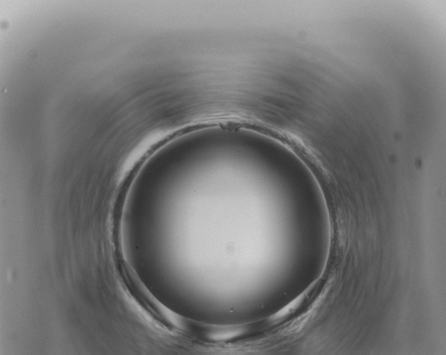 X0000073711422200608101827