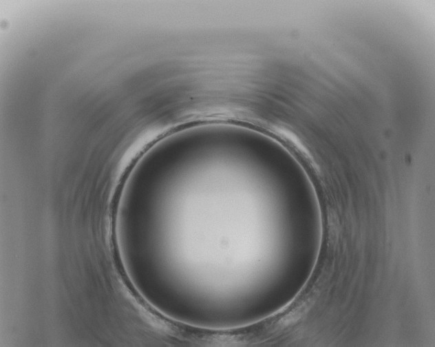 X0000073711424200608101827