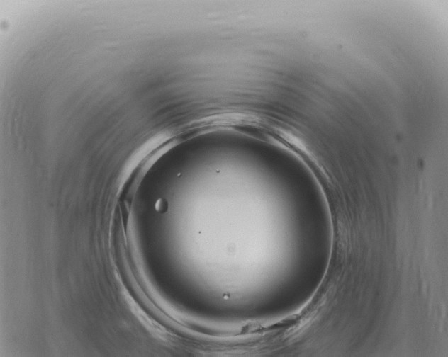 X0000073711426200608101827