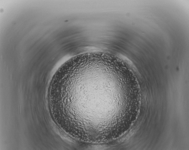 X0000073711427200608101827