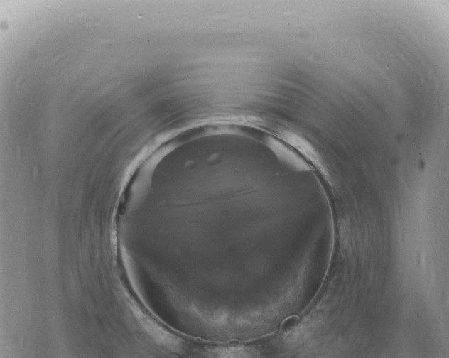 X0000073711428200608101827