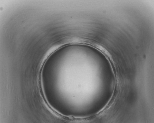 X0000073711429200608101827