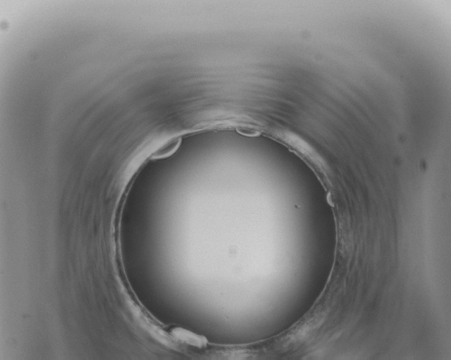 X0000073711431200608101827