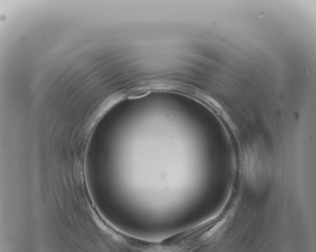 X0000073711433200608101827