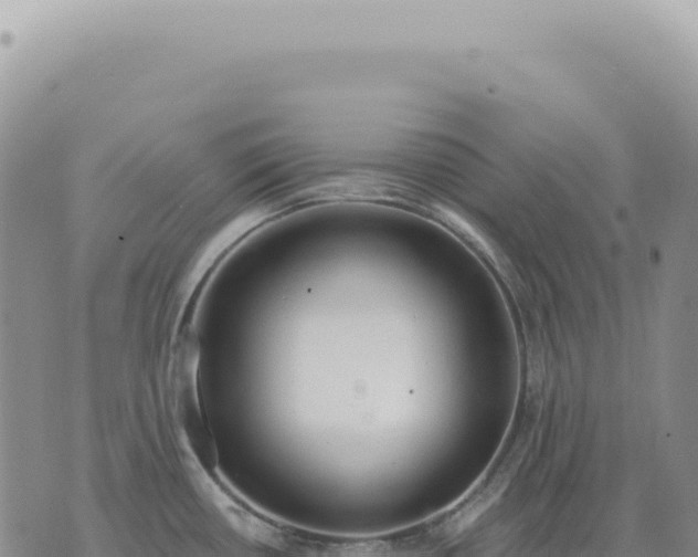 X0000073711434200608101827