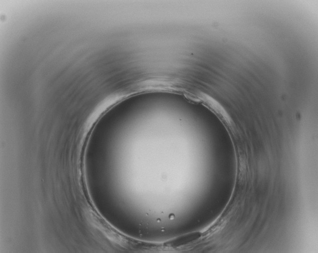 X0000073711435200608101828