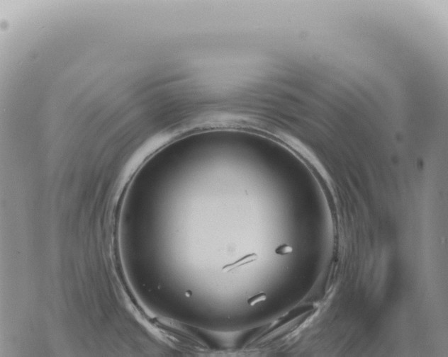 X0000073711437200608101828