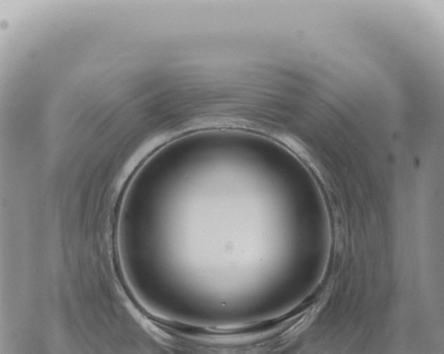 X0000073711438200608101828