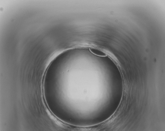 X0000073711439200608101828