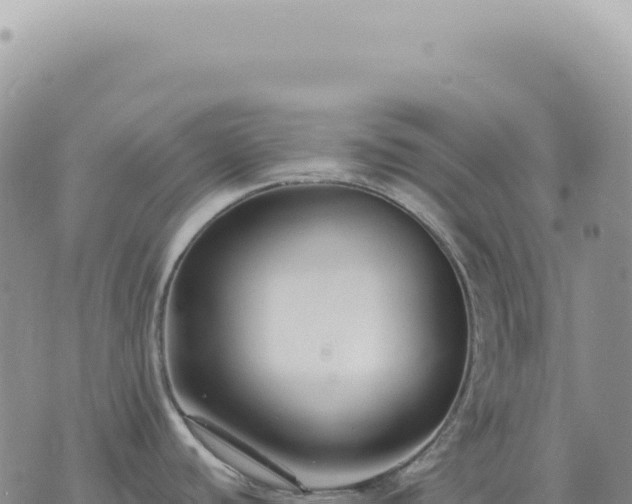 X0000073711440200608101828