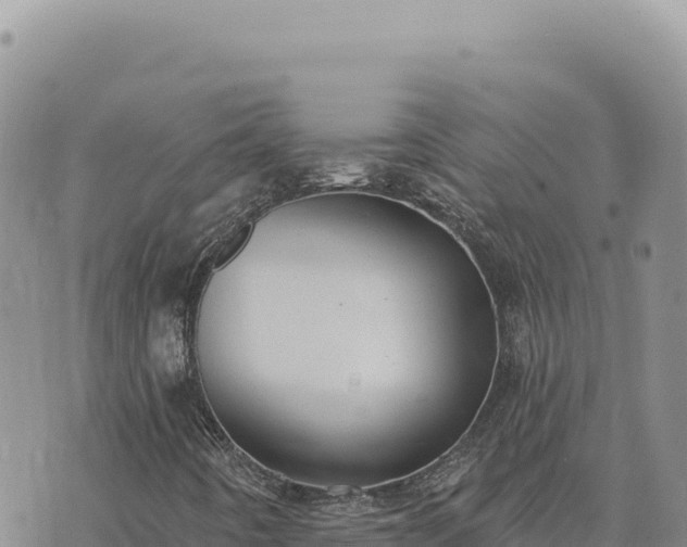 X0000073711442200608101827