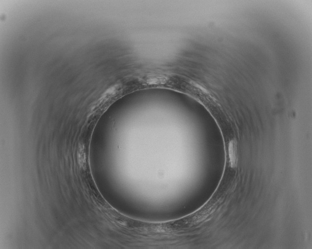 X0000073711443200608101827