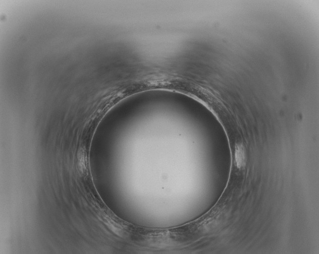 X0000073711444200608101827