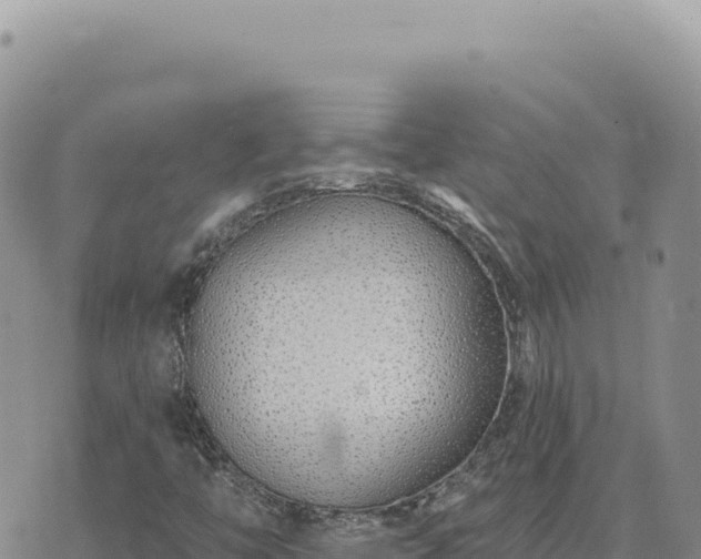 X0000073711446200608101827