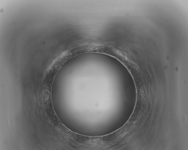 X0000073711447200608101827