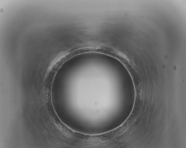 X0000073711448200608101827