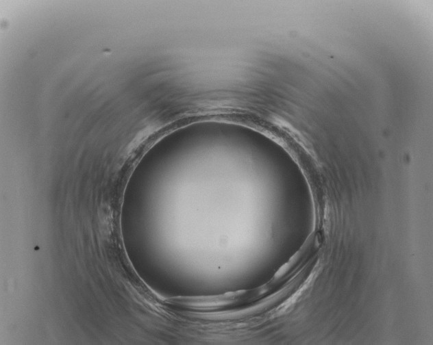 X0000073711449200608101827