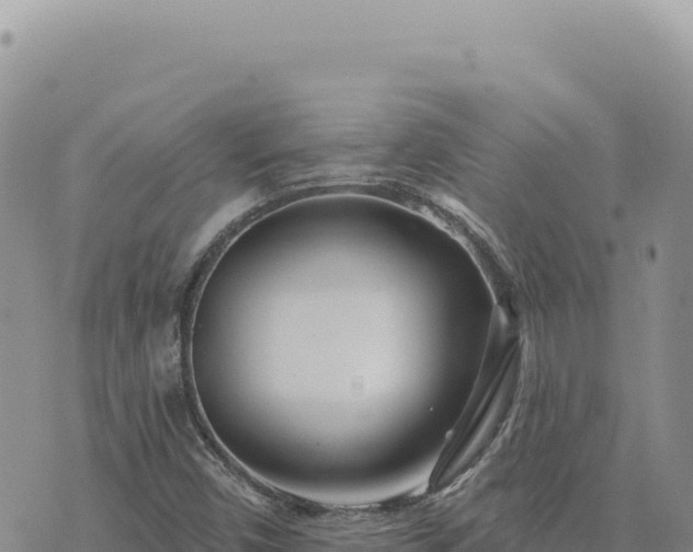 X0000073711450200608101827