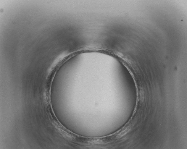 X0000073711454200608101827