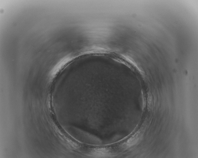 X0000073711455200608101827