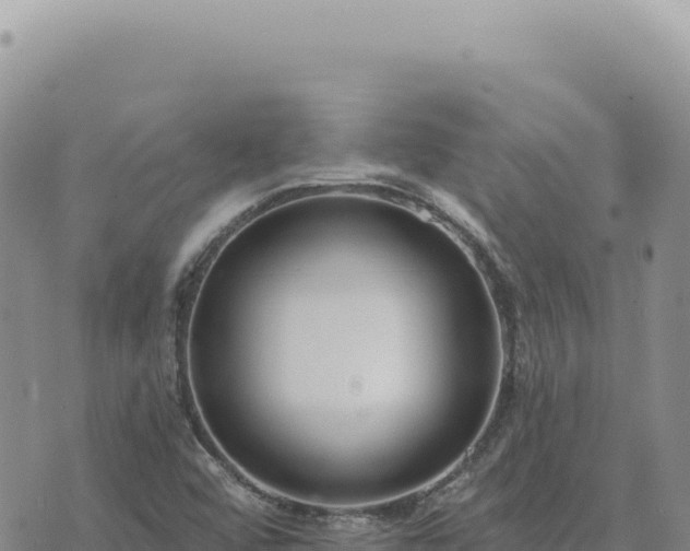 X0000073711456200608101827