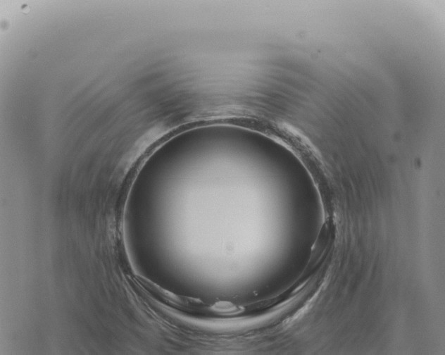 X0000073711457200608101827