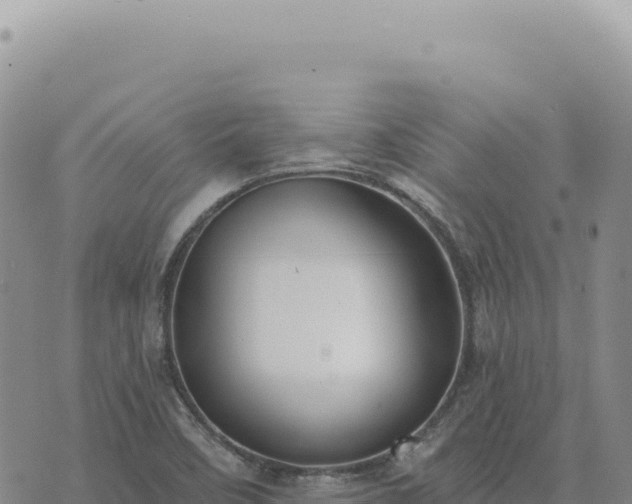 X0000073711458200608101827