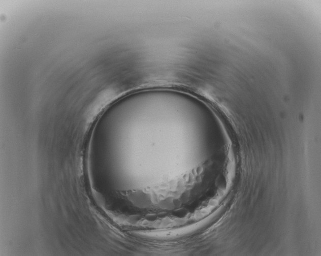 X0000073711459200608101827