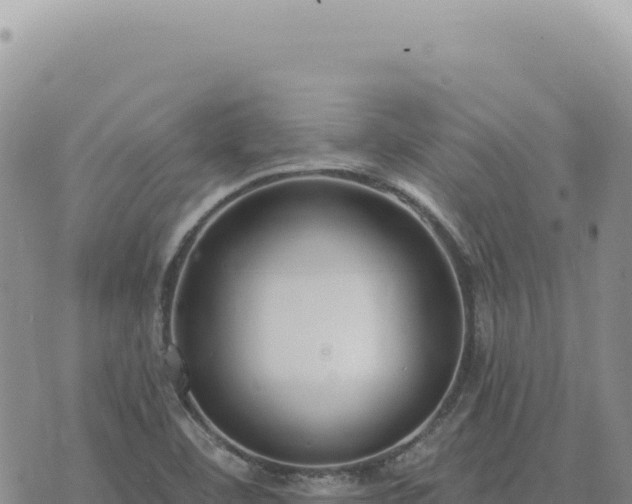 X0000073711460200608101827