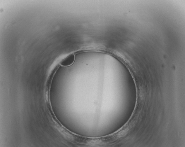 X0000073711462200608101826