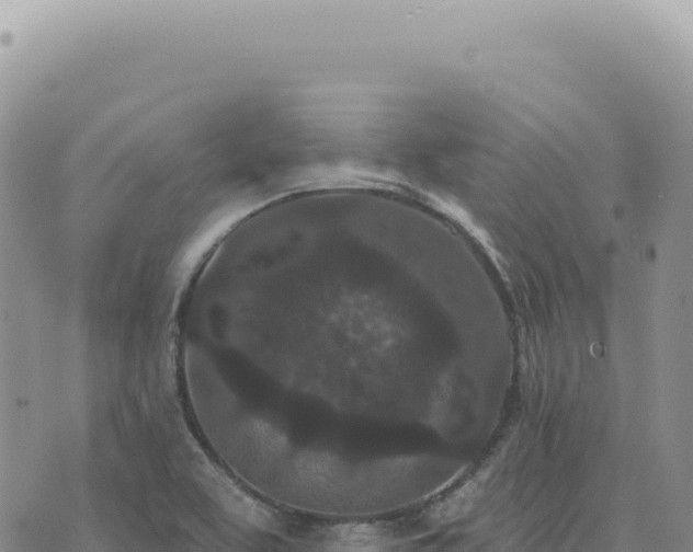 X0000073711463200608101826