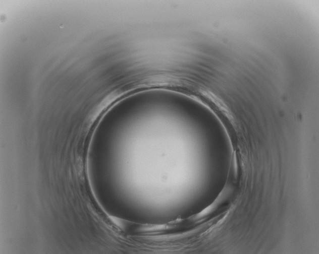 X0000073711465200608101826