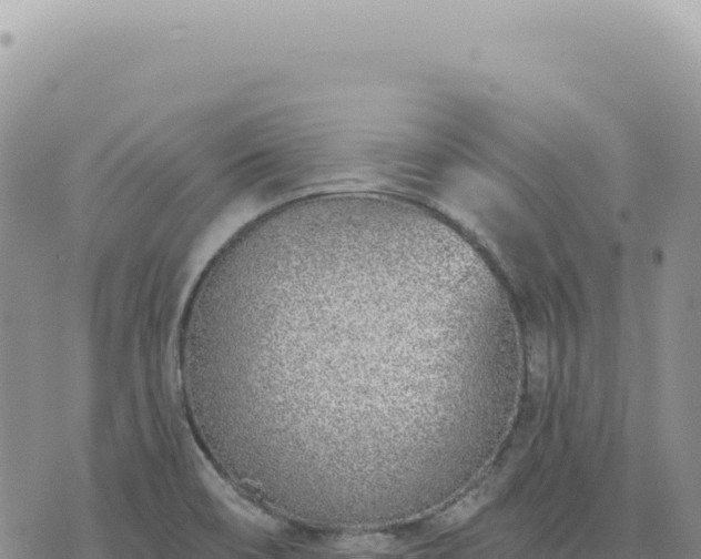 X0000073711466200608101826