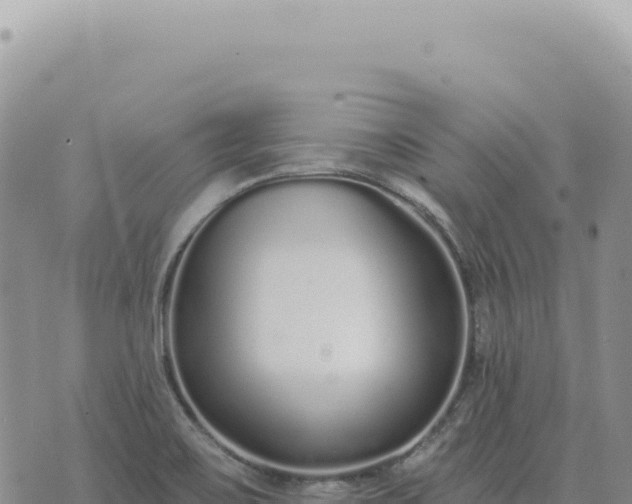 X0000073711467200608101826