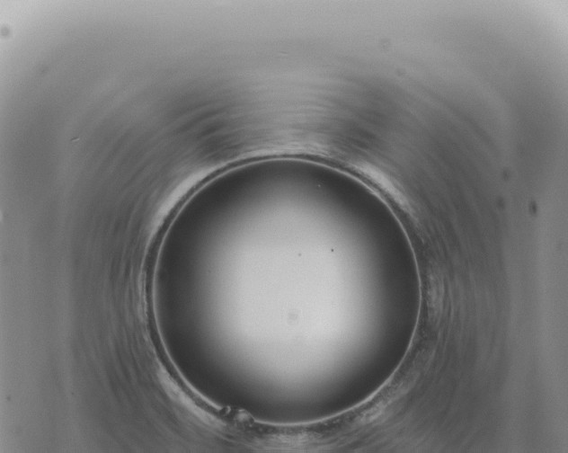 X0000073711468200608101826