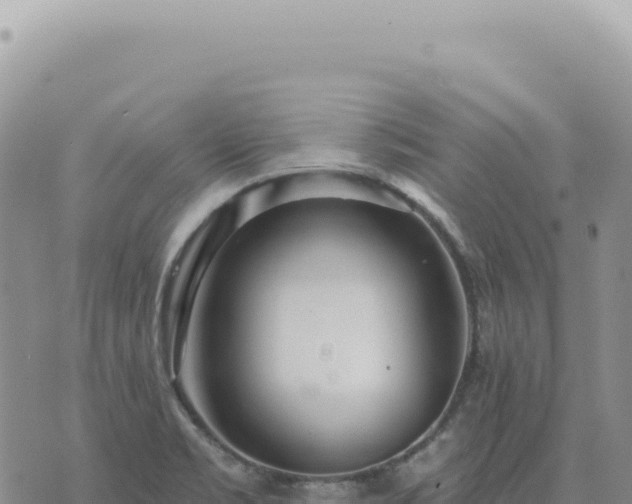 X0000073711469200608101826