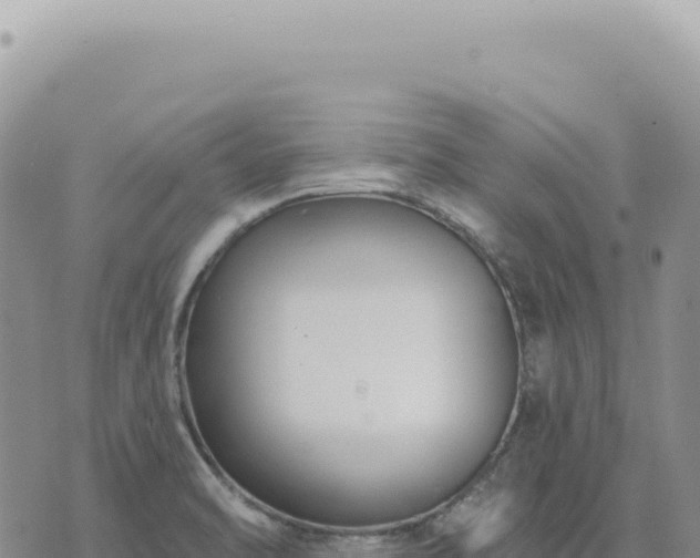 X0000073711470200608101826