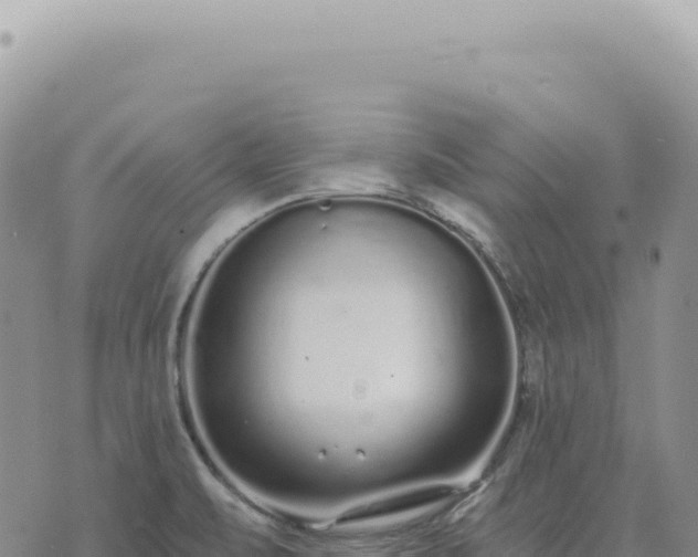 X0000073711471200608101826