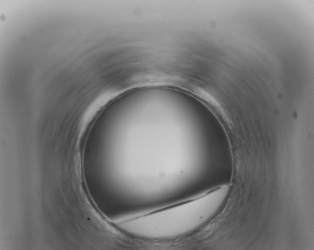 X0000073711472200608101826